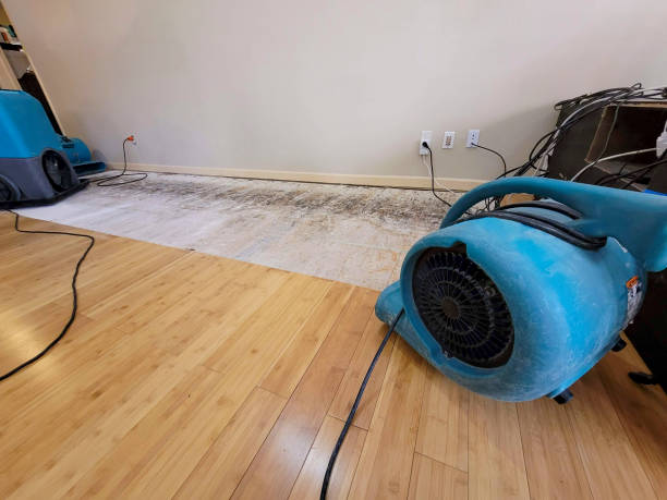 Reliable Basement Flood Cleanup contractor in London, CA by Hirex Water Damage