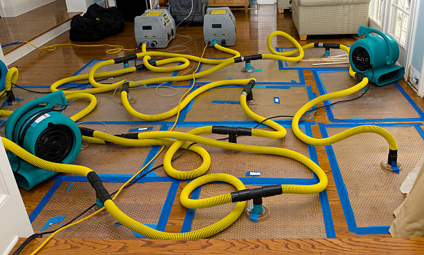Professional Basement Flood Cleanup technician working in London, CA